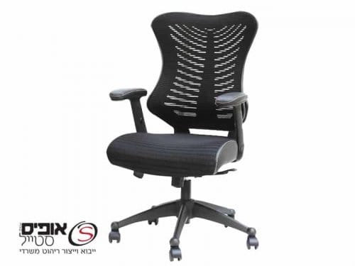 כסא ארגונומי רפאל